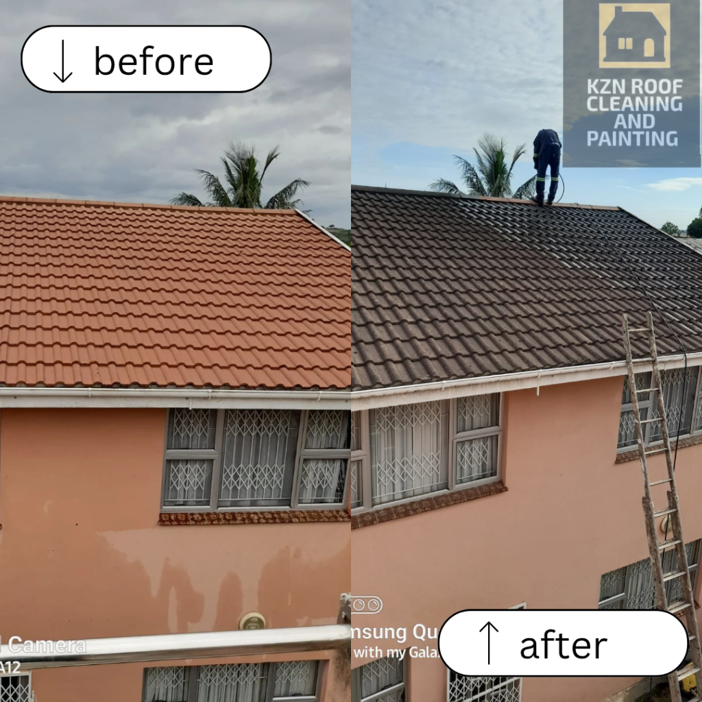 Roof cleaning and Painting