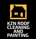 roof cleaning